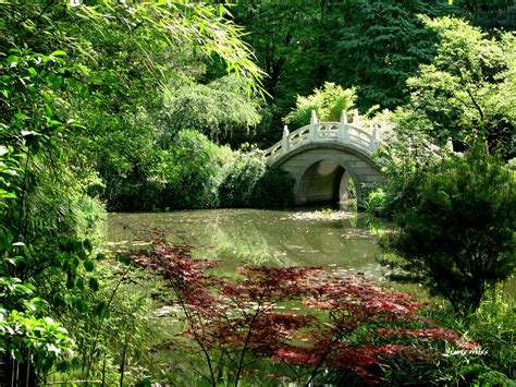 Das Heilongjiang-Fluss-Naturreservat - Eine Oase der Ruhe und Entspannung!